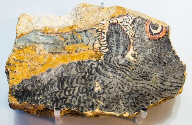 雄牛の頭部