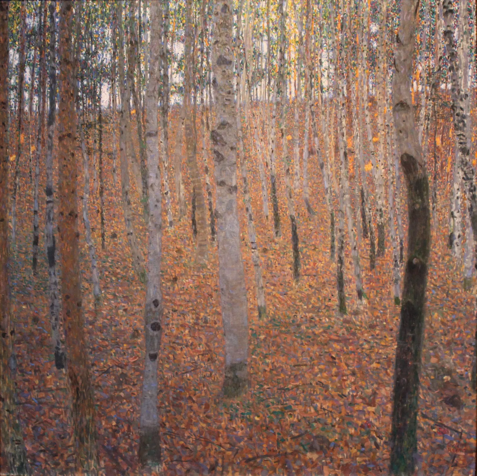 Forêt de hêtres, Gustav Klimt