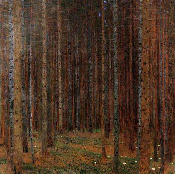 Forêt de sapins I