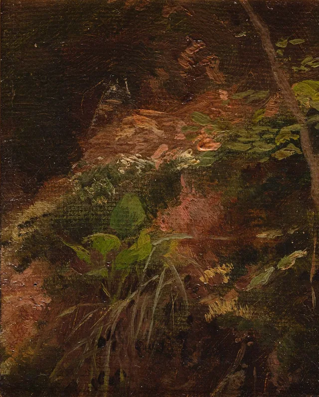 Forest Floor