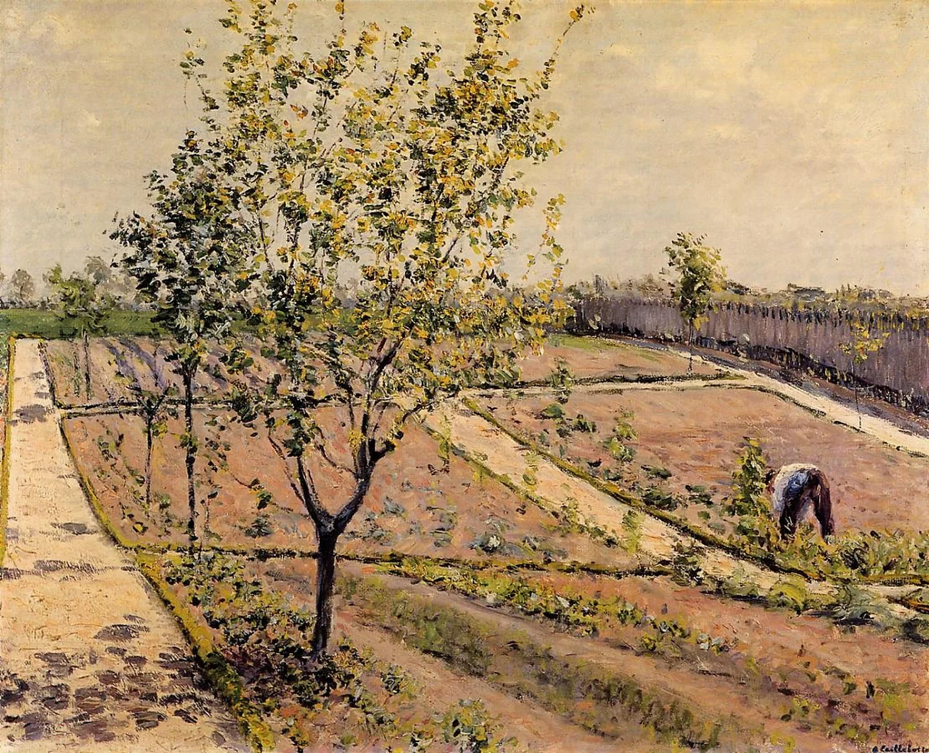 Le jardin potager, Petit Gennevilliers, Gustave Caillebotte