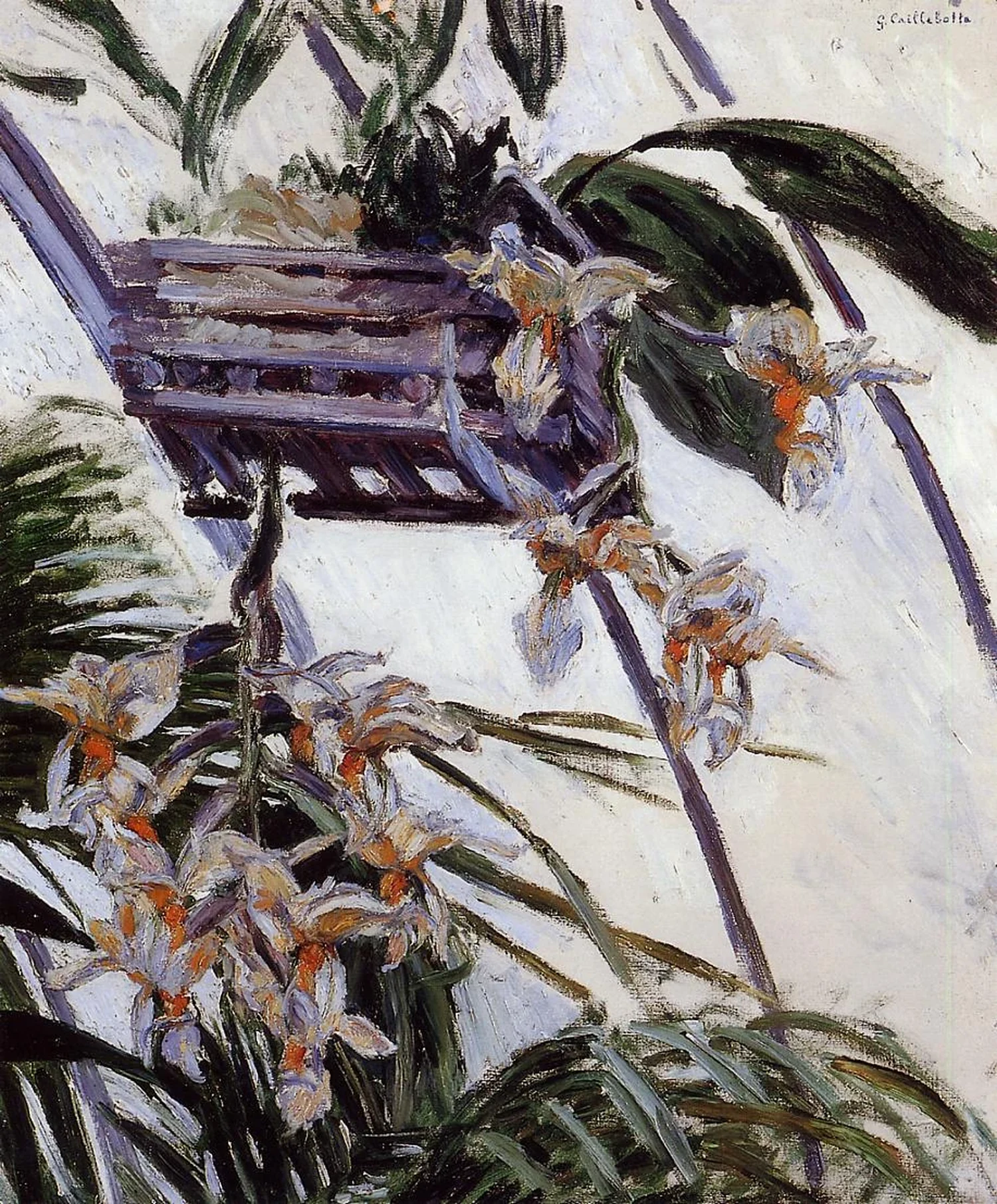 Orchidées, Gustave Caillebotte