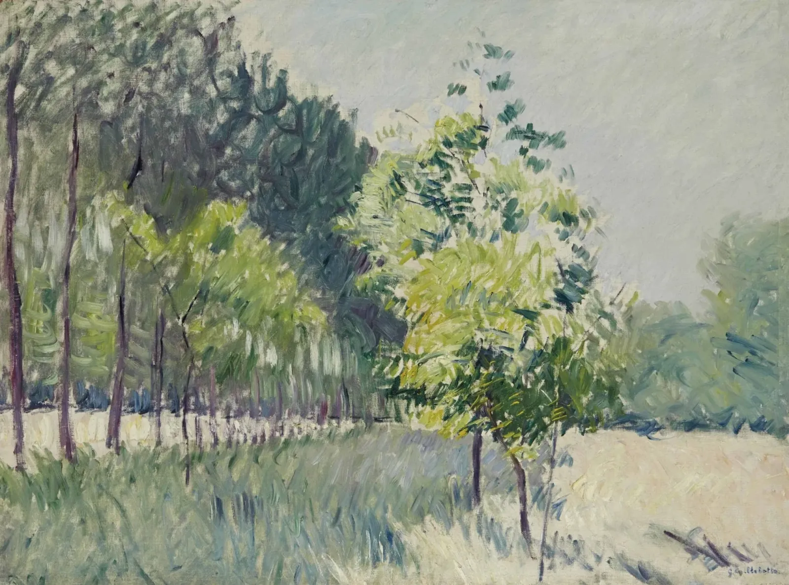 Allée bordée d'arbres, Gustave Caillebotte