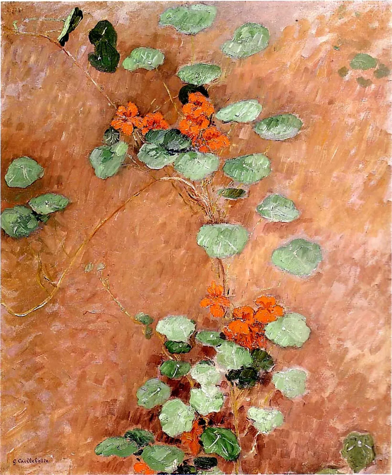 Capucines, Gustave Caillebotte