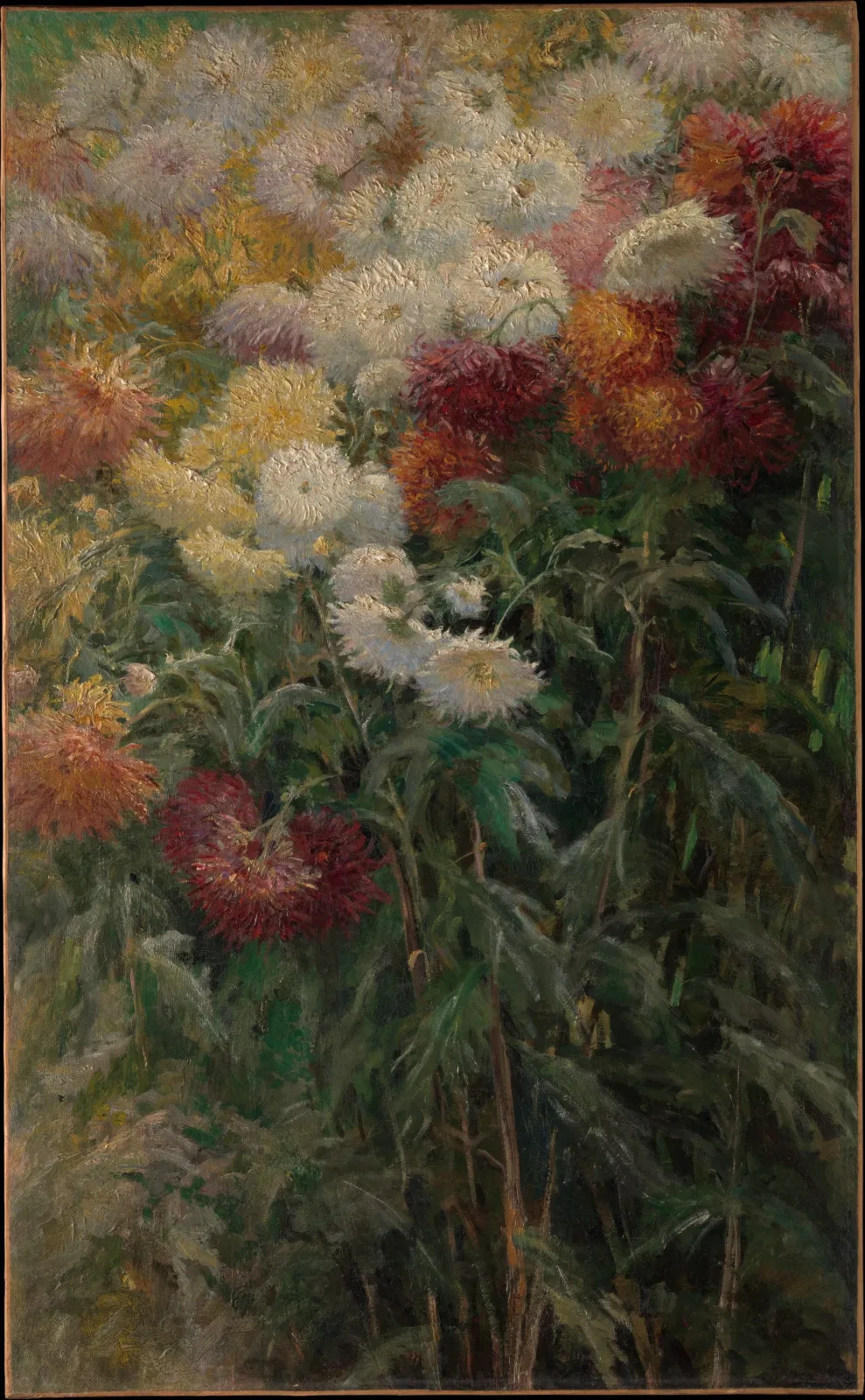 Chrysanthemums in the Garden at Petit-Gennevilliers, Gustave Caillebotte
