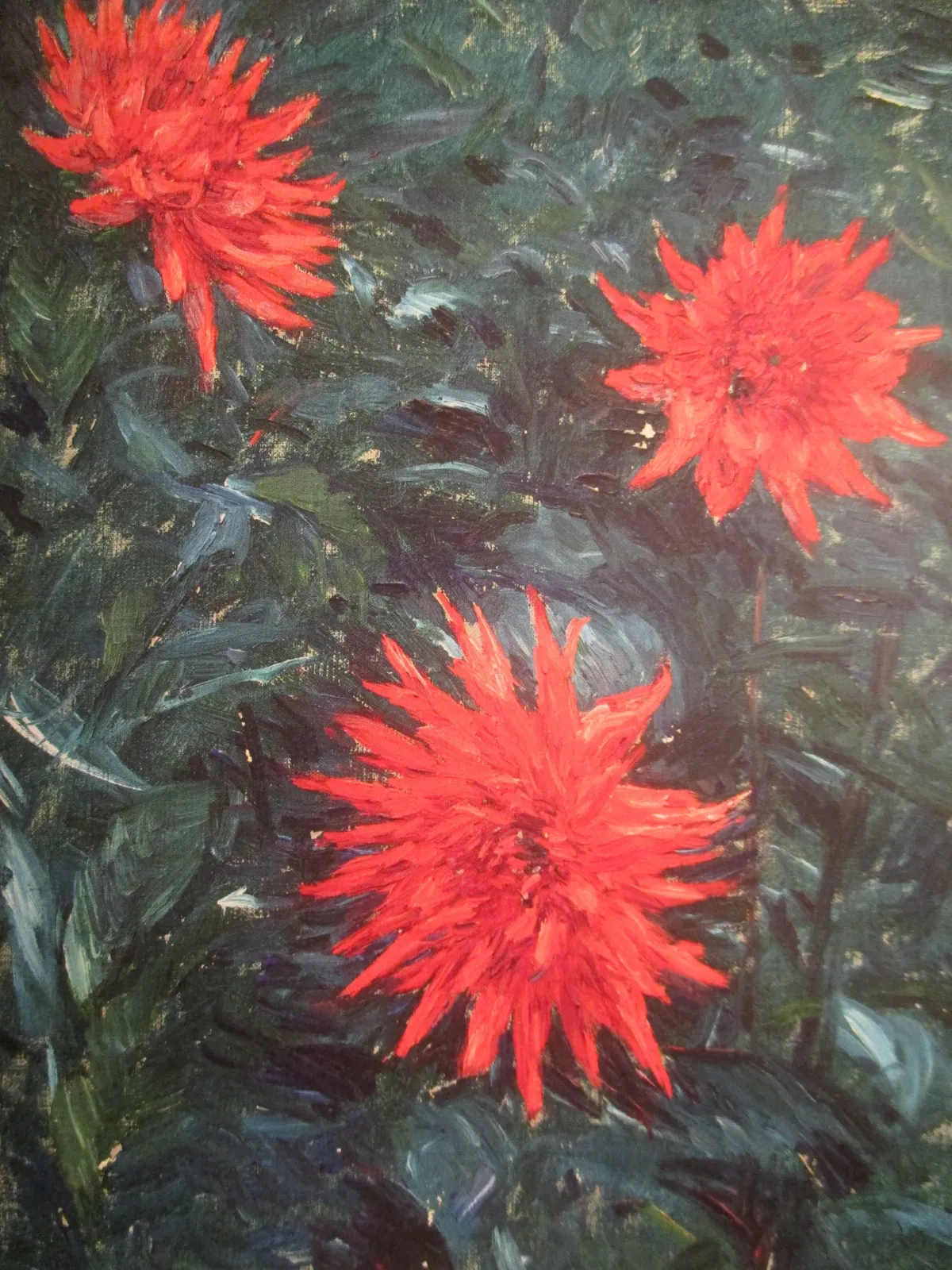 Dahlias cactus rouges, Gustave Caillebotte