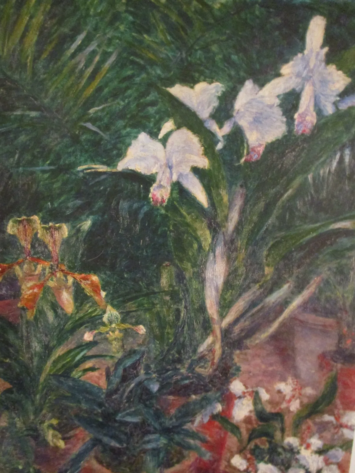 Orchidées dans la serre du Petit Gennevilliers, Gustave Caillebotte