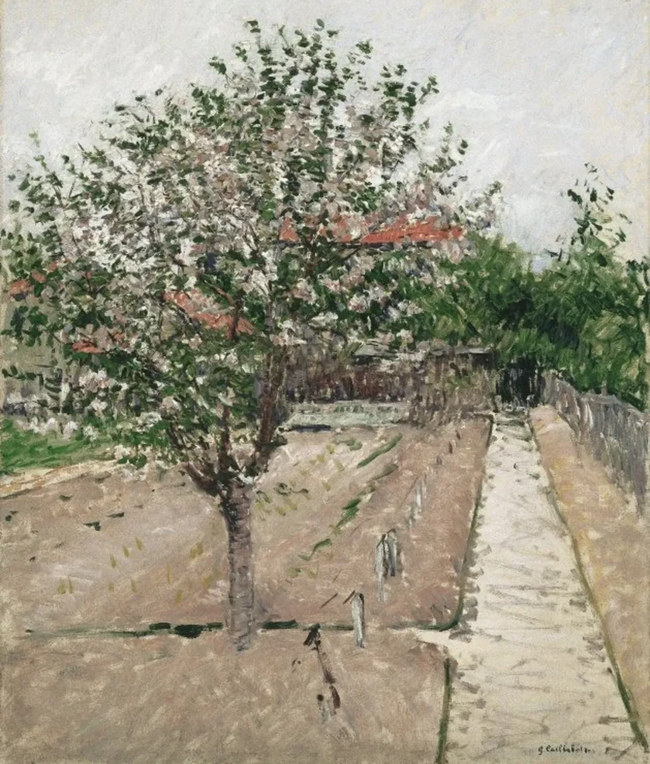 Pommier en fleurs, Gustave Caillebotte