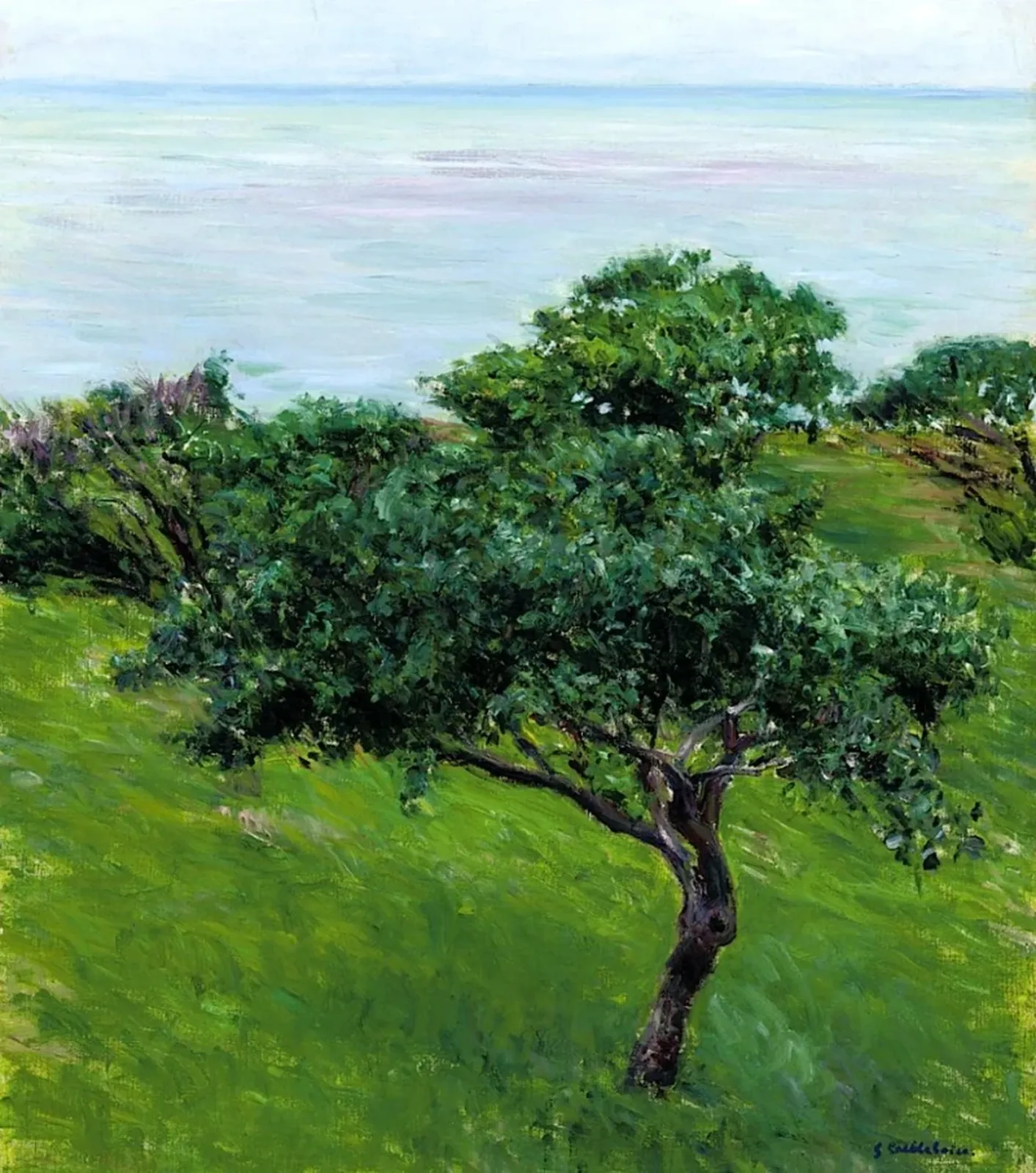 Pommiers au bord de la mer, Trouville, Gustave Caillebotte