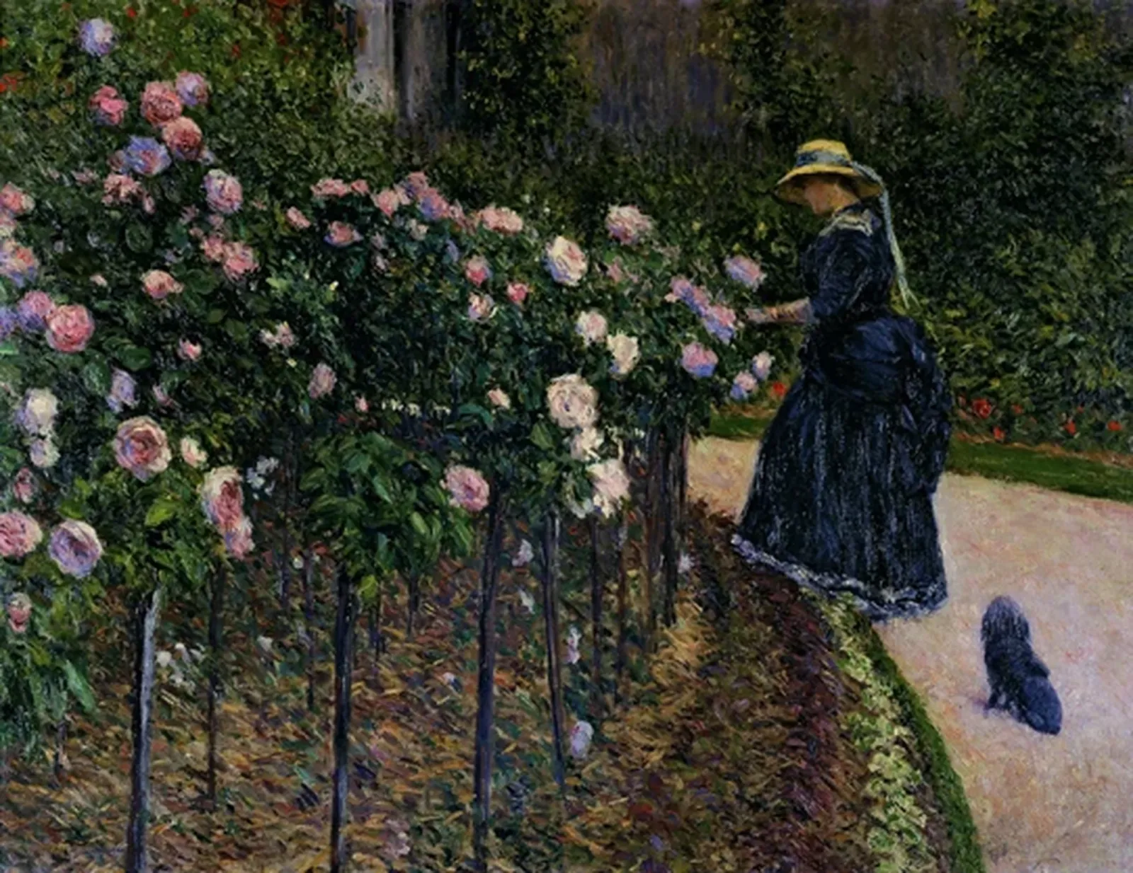 Roses dans le jardin au Petit Gennevilliers, Gustave Caillebotte