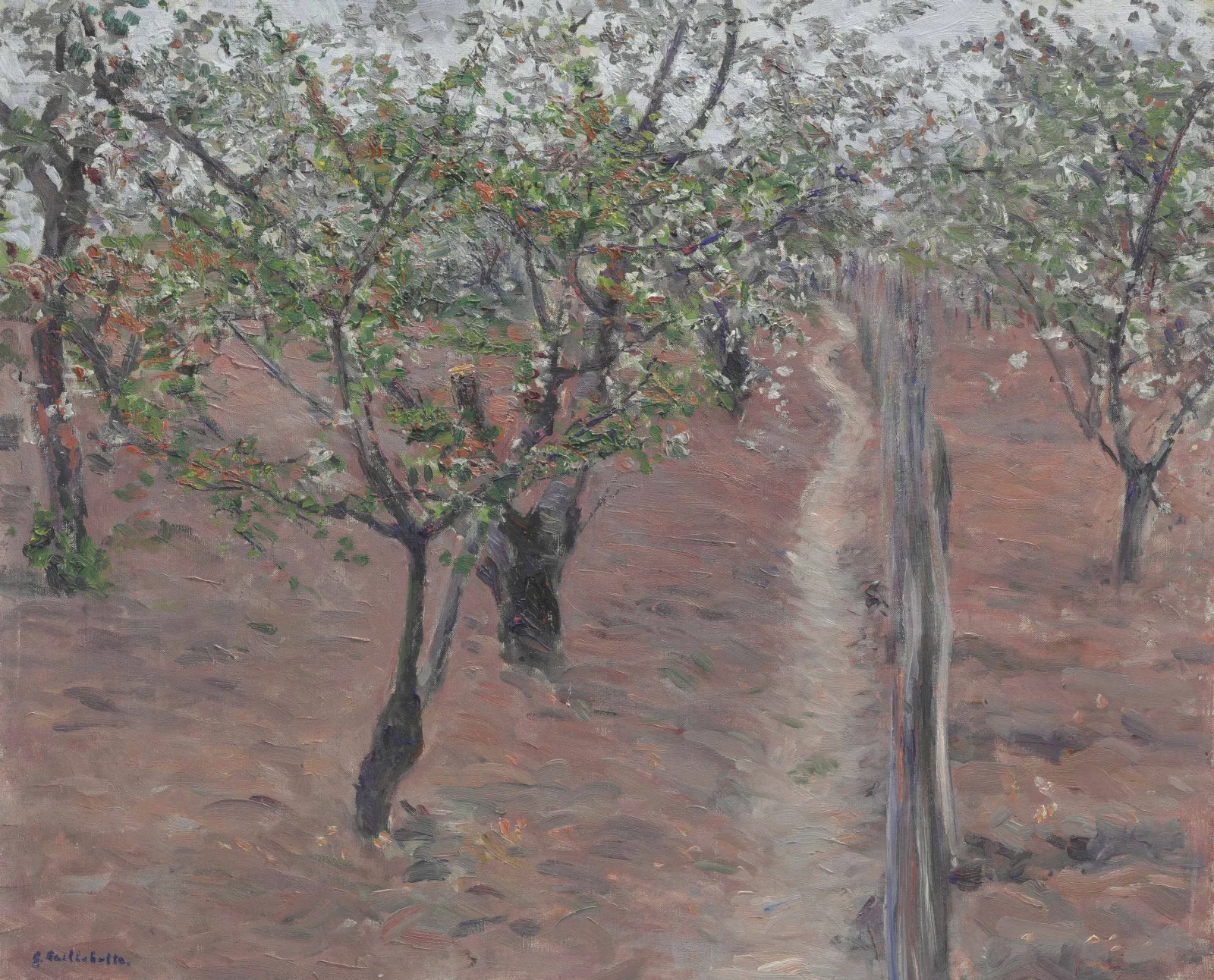 Verger, arbres en fleurs, Petit Gennevilliers, Gustave Caillebotte