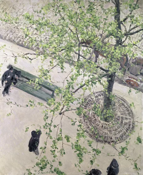 Boulevard vu d'en haut