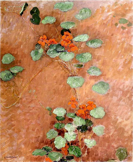 Capucines