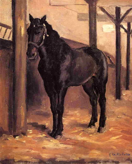 Cheval bai-brun a l'écurie