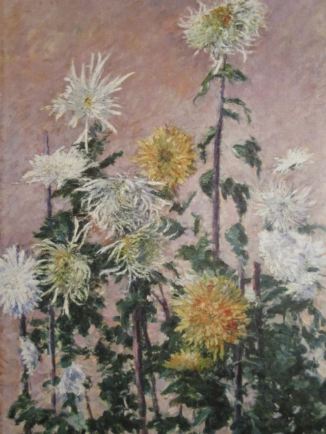 Crisântemos brancos e amarelos, Gustave Caillebotte