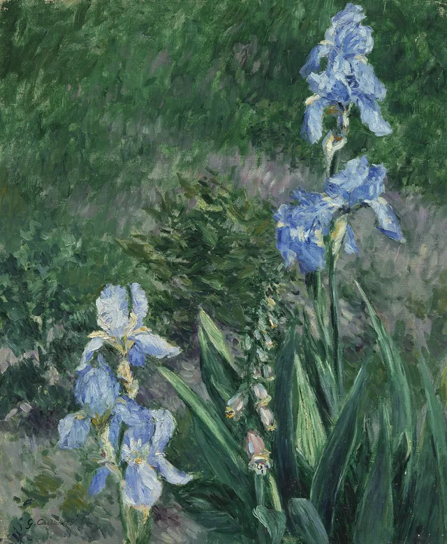 Íris azuis, jardim do Petit Gennevilliers, Gustave Caillebotte