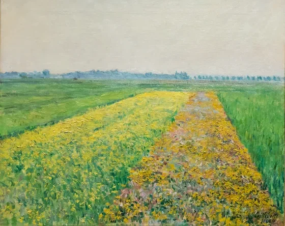 La plaine de Gennevilliers, Champs jaune