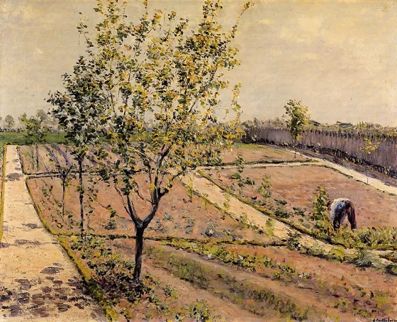 Le jardin potager, Petit Gennevilliers