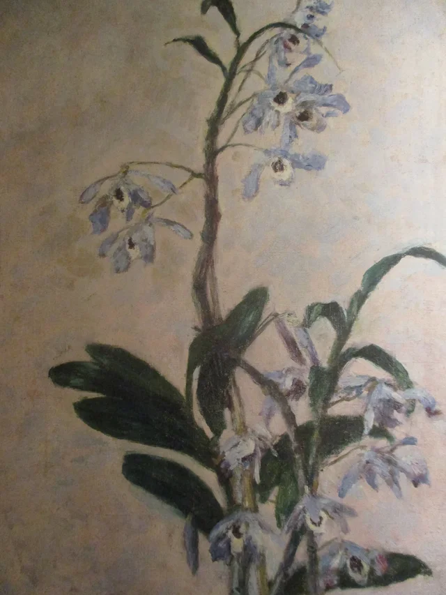 As Orquídeas, Gustave Caillebotte