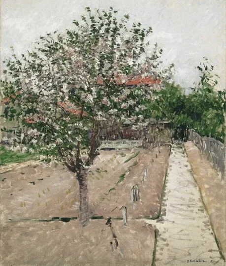Pommier en fleurs
