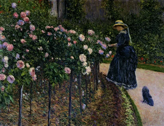 Roses dans le jardin au Petit Gennevilliers
