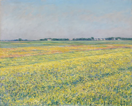 The plain of Gennevilliers, yellow fields