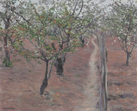 Verger, arbres en fleurs, Petit Gennevilliers