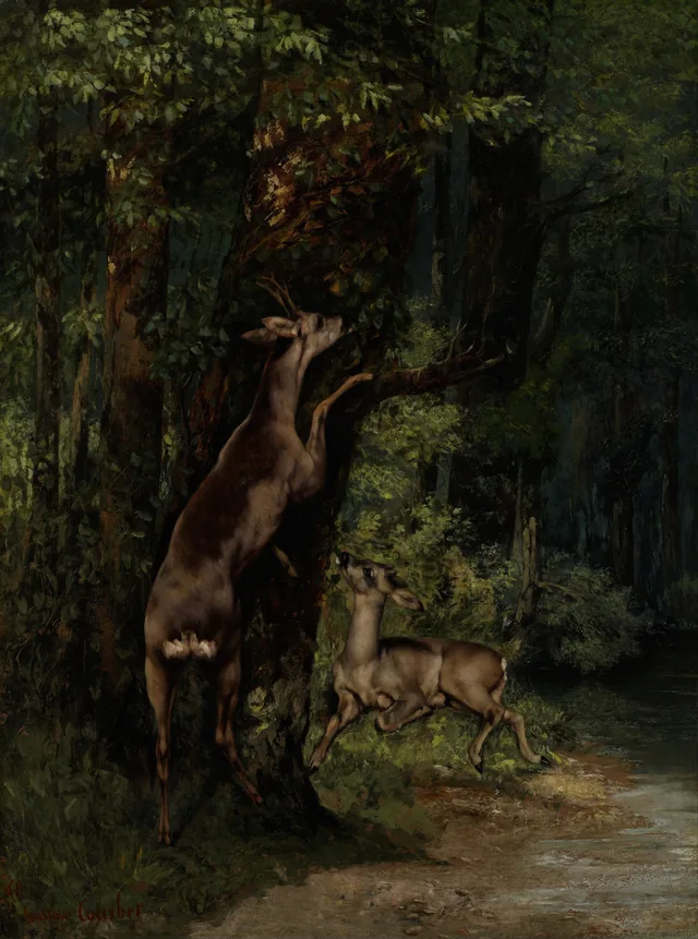 Deer in the Forest, Gustave Courbet