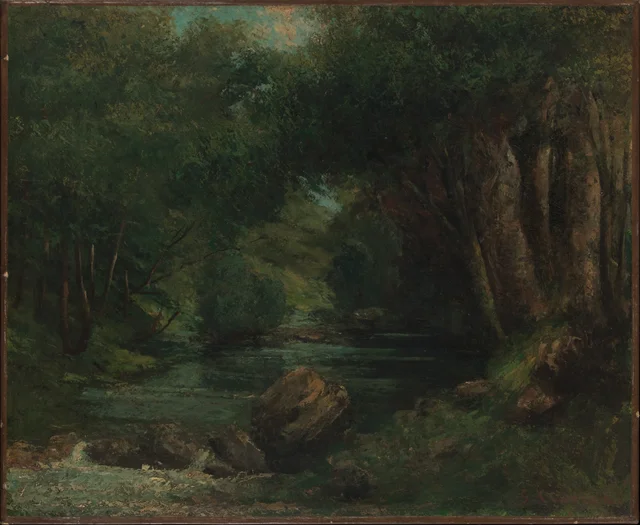 Un ruisseau dans la forêt