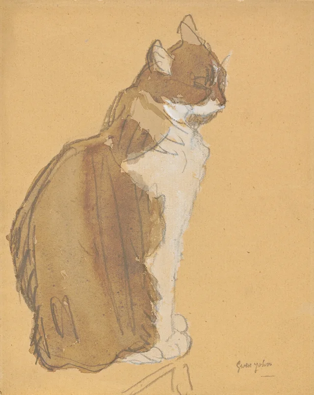 Gato con el pecho blanco, Gwen John