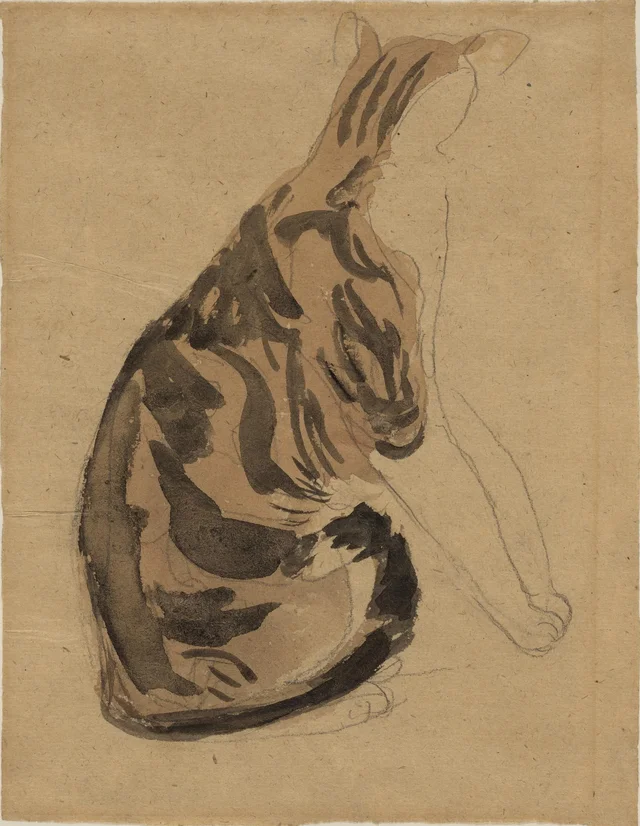 Chat écaille