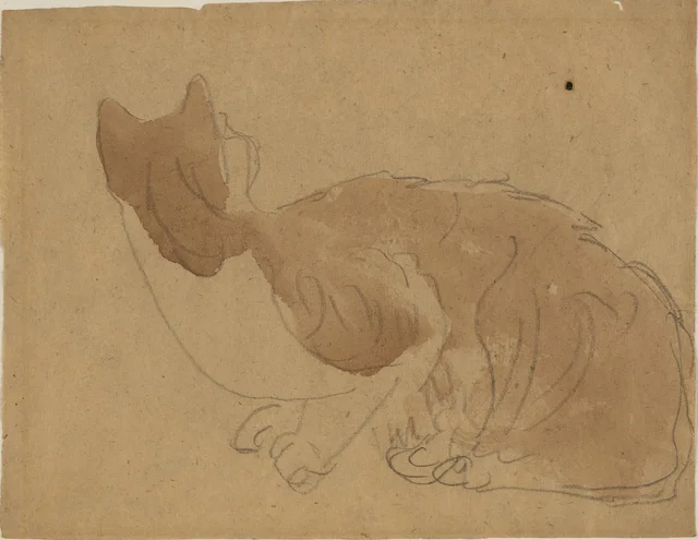 Chat roux