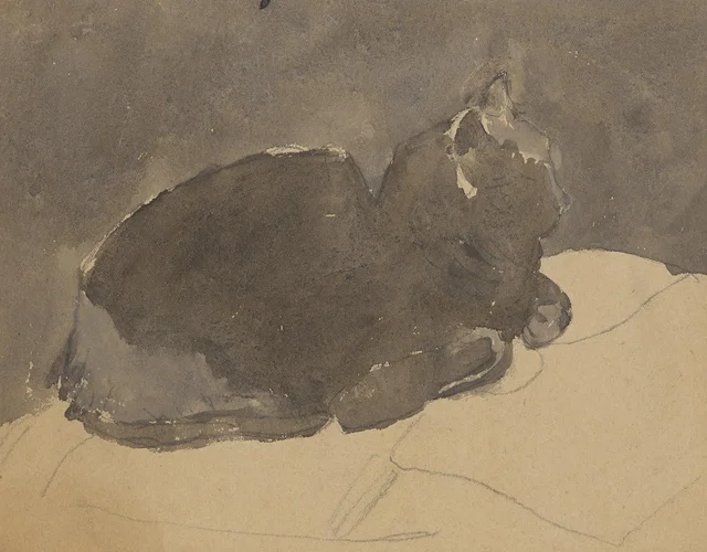 Gato