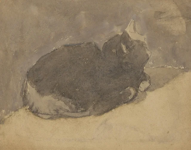 Gato