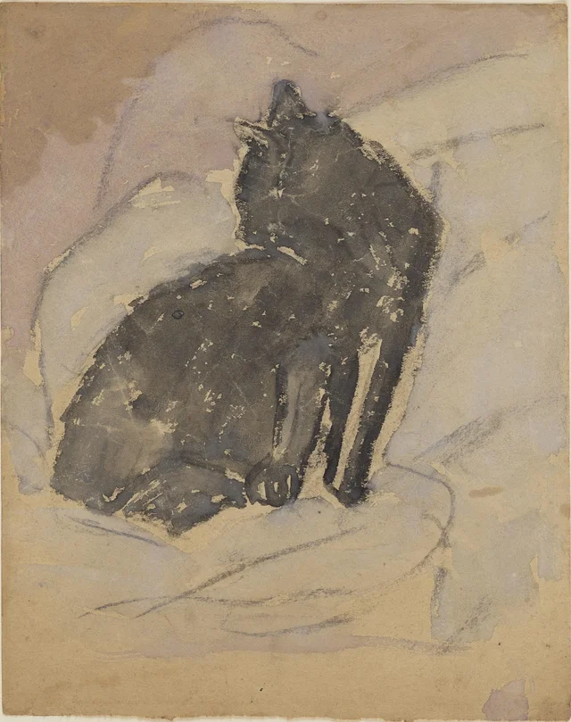 Chat