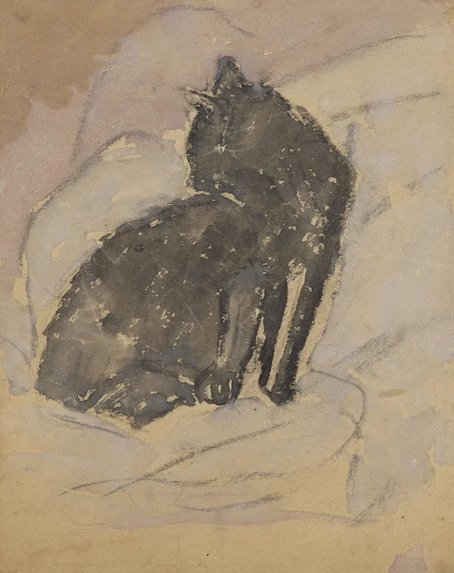 Gato