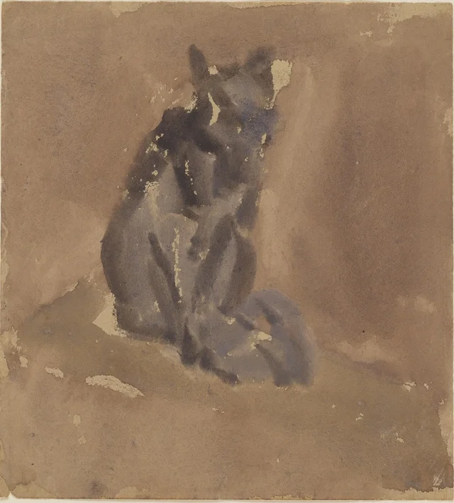 Chat