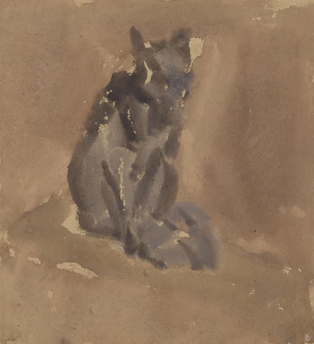 Gato