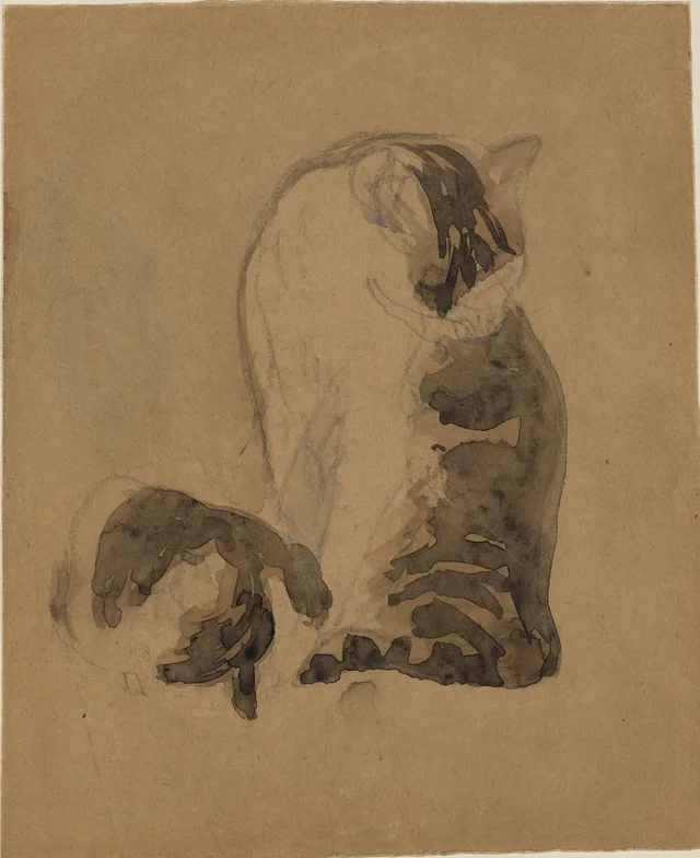 Deux chats écaille