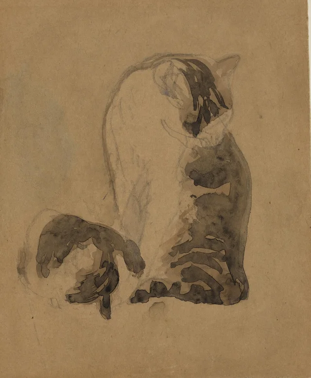 Dos gatos carey