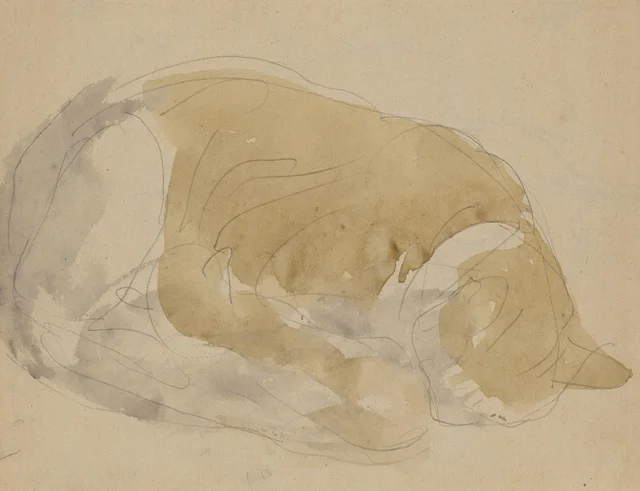 Estudios de gato