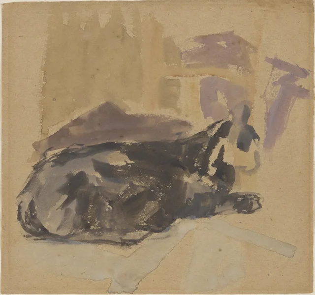 Études de chat