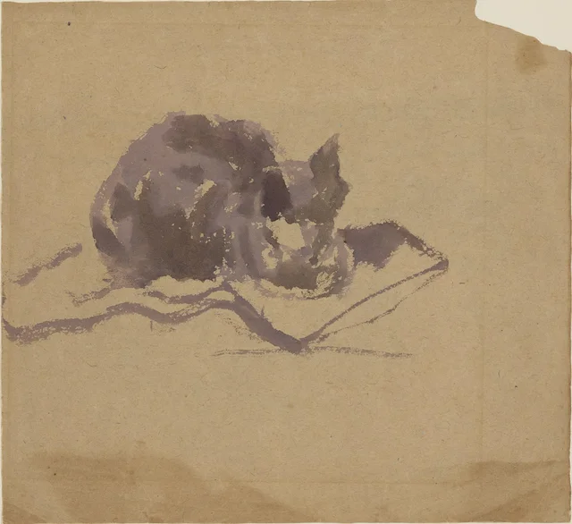 Études de chat
