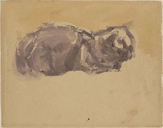 Études de chat