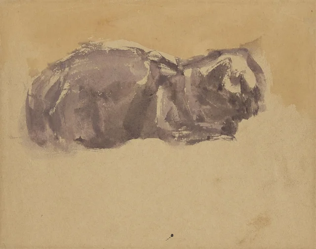 Estudios de gato