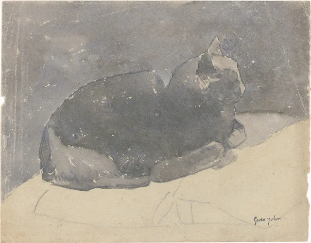 Études de chat