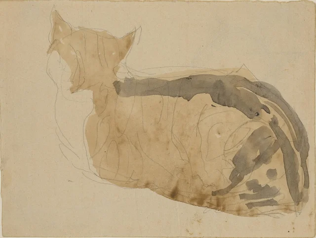 Études de chat