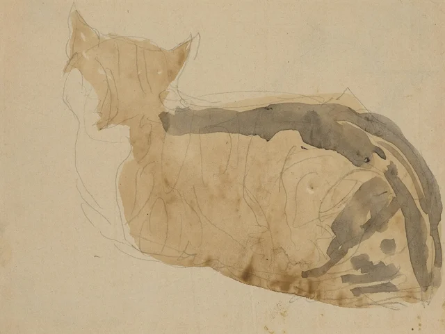 Estudios de gato