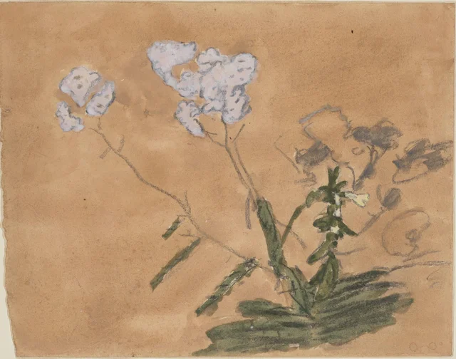Plante en fleurs