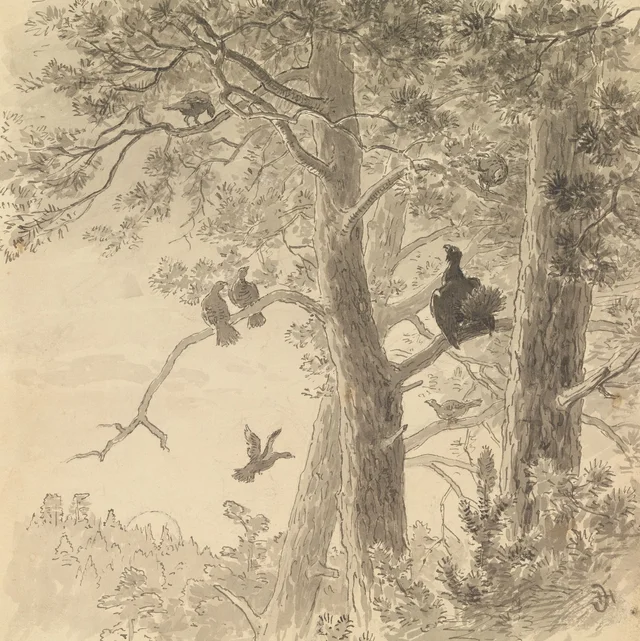 Cuando nos habíamos acercado al árbol donde estaba posado, oímos llegar volando un pájaro